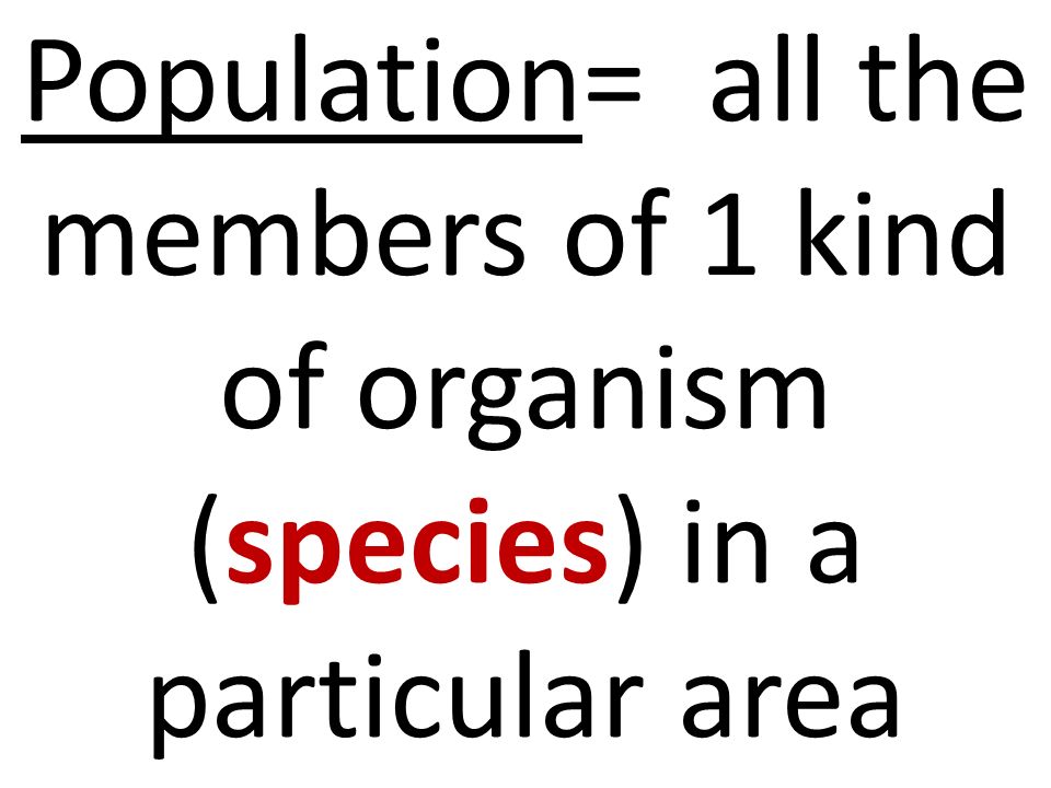 Population= all the members of 1 kind of organism (species) in a particular area