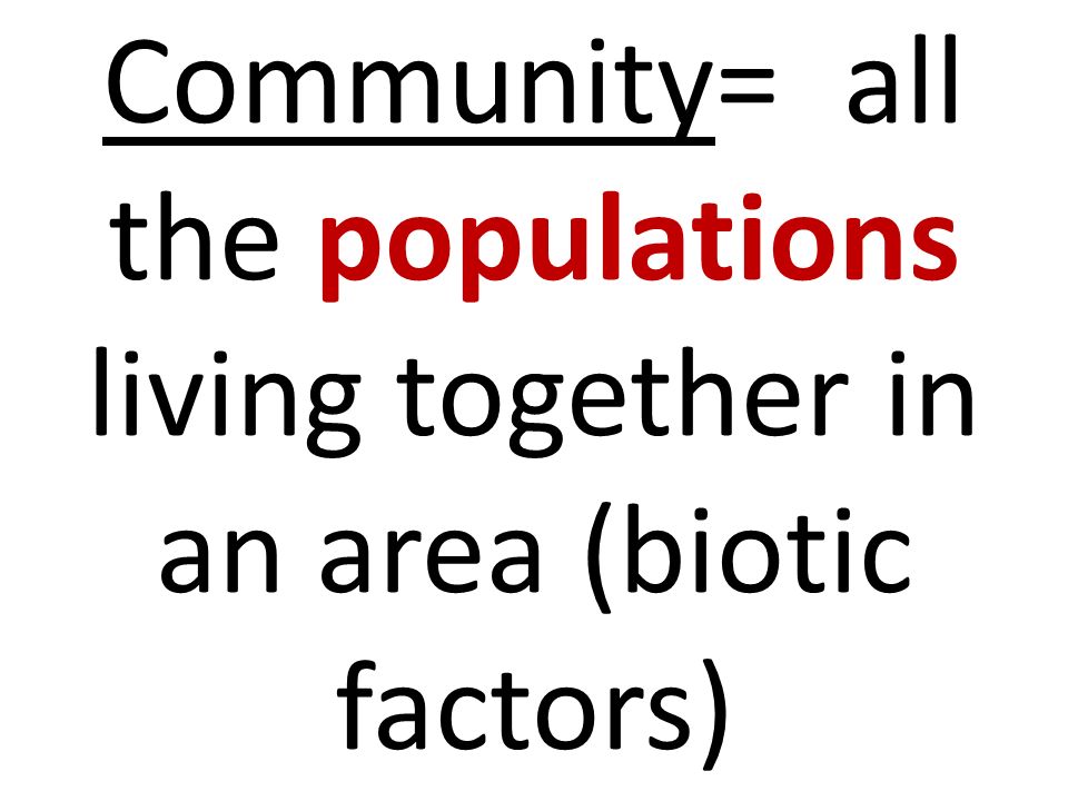 Community= all the populations living together in an area (biotic factors)