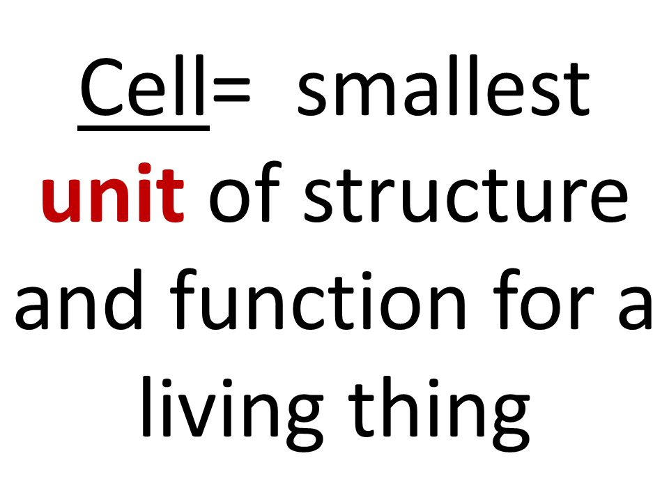 Cell= smallest unit of structure and function for a living thing