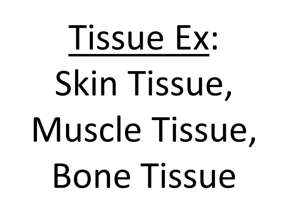 Tissue Ex: Skin Tissue, Muscle Tissue, Bone Tissue