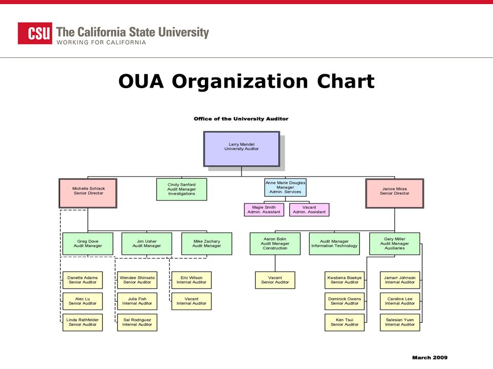 Csu Organizational Chart