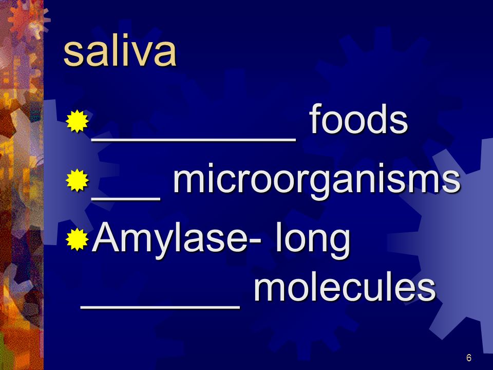 6 saliva  _________ foods  ___ microorganisms  Amylase- long _______ molecules