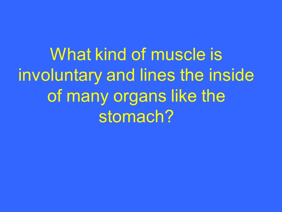 What kind of muscle is involuntary and lines the inside of many organs like the stomach