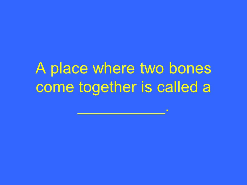 A place where two bones come together is called a __________.
