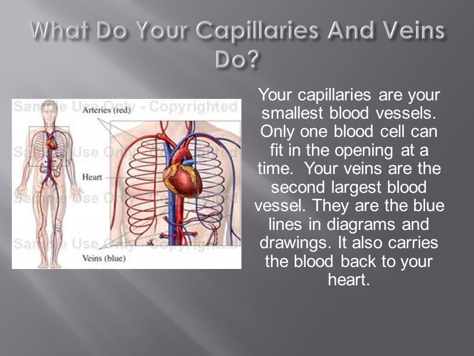 Your capillaries are your smallest blood vessels.