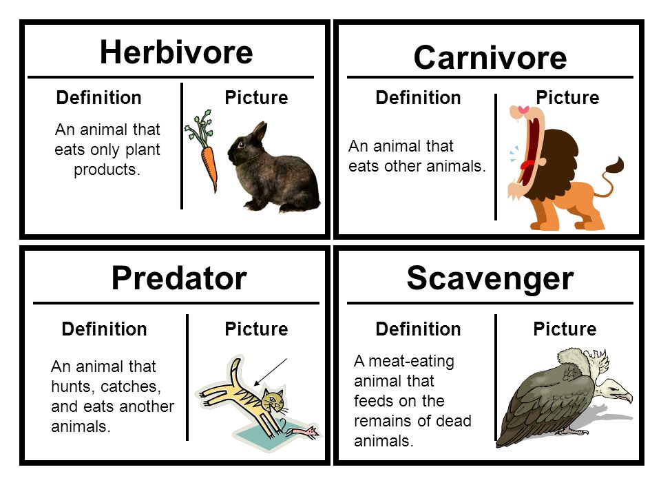 Inherited Trait Organism Learned BehaviorOffspring  DefinitionPictureDefinitionPicture A characteristic that is passed from  parents to their offspring (child). - ppt download