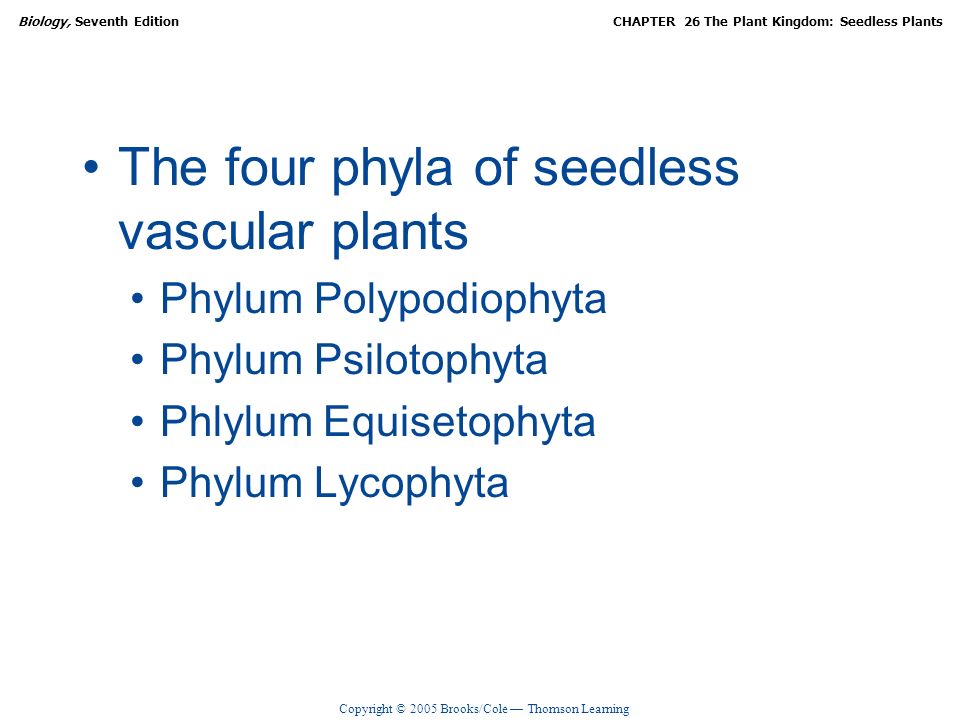 Copyright © 2005 Brooks/Cole — Thomson Learning Biology, Seventh ...