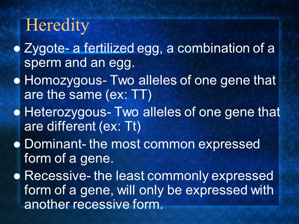 Mendel’s Hypotheses Gene- a segment of DNA that codes for a particular trait An individual has two copies of a single gene- one from each parent.