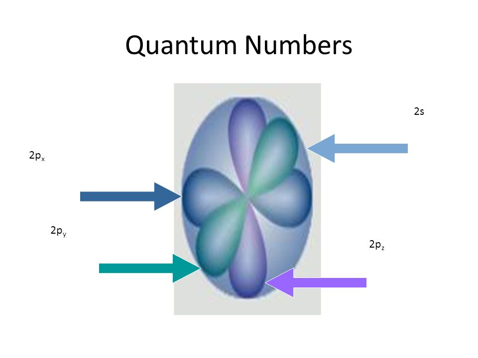 Quantum Numbers 2s 2p z 2p y 2p x