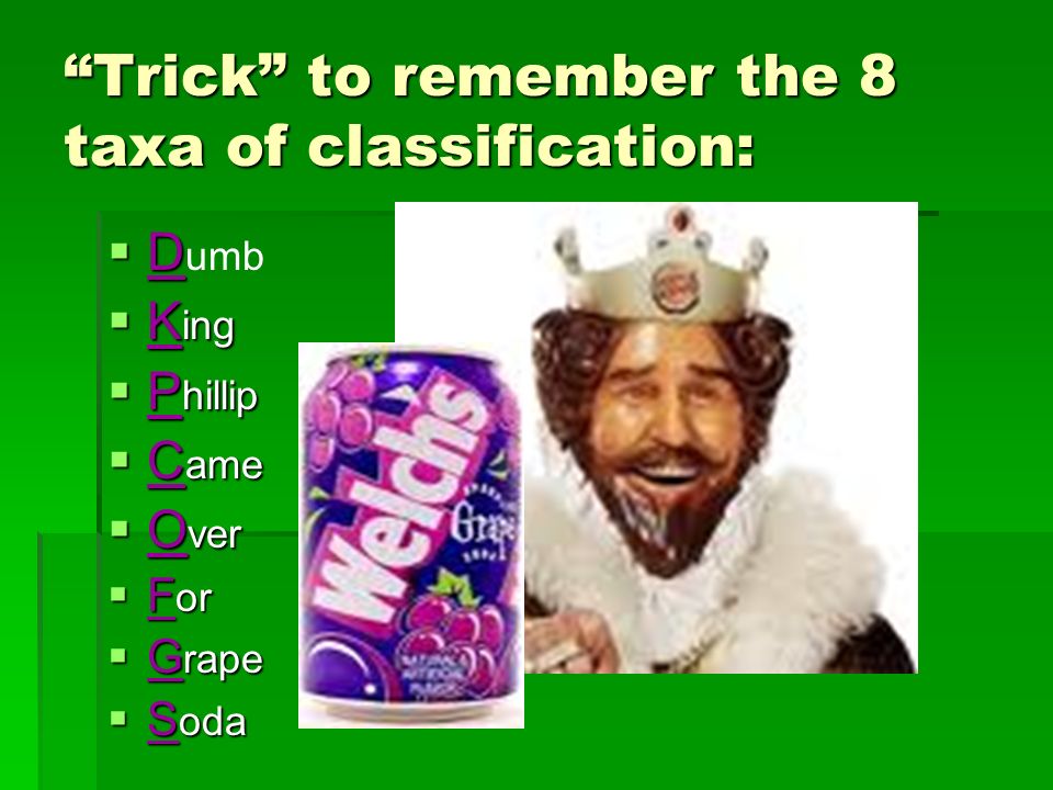 Trick to remember the 8 taxa of classification:  D  D umb  K ing  P hillip  C ame  O ver  F or  G rape  S oda