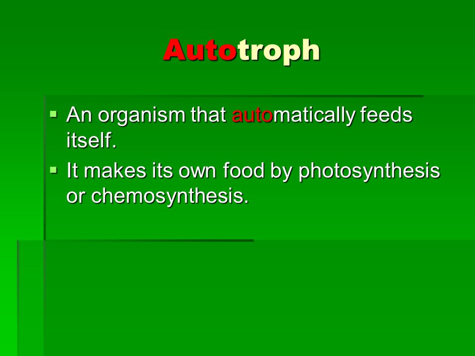 Autotroph  An organism that automatically feeds itself.