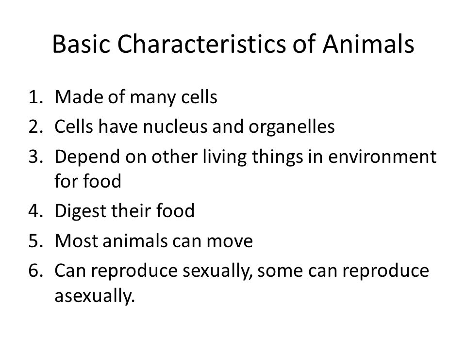 Intro to Animals. Basic Characteristics of Animals  of many cells   have nucleus and organelles  on other living things in  environment. - ppt download