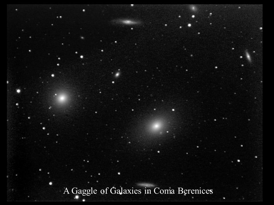 A Gaggle of Galaxies in Coma Berenices