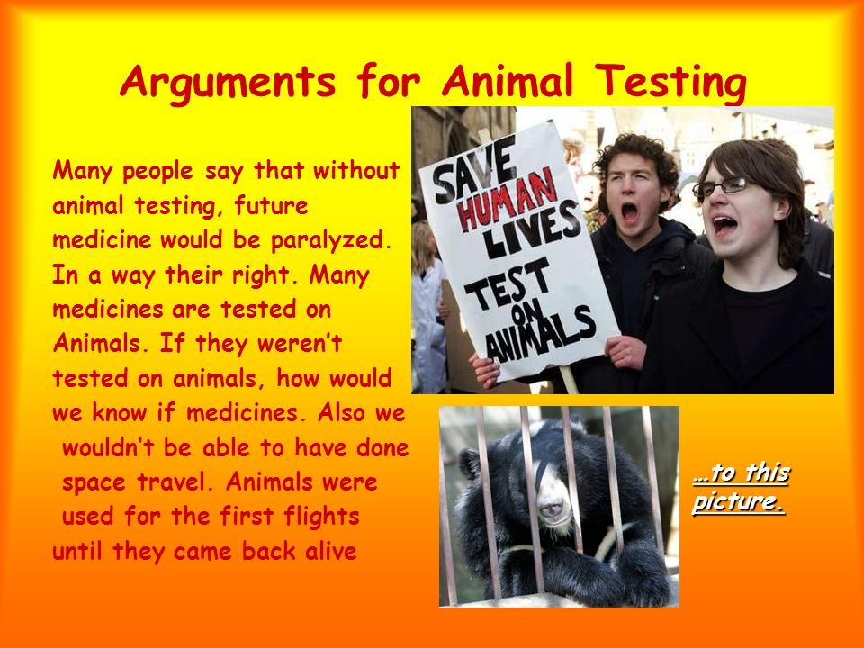 Animal Testing. Why Animal Testing Happens People test cosmetics and other  products an animals because they don't want to test them on themselves.  This. - ppt download
