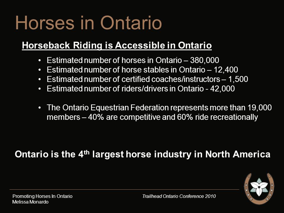 Horses in Ontario Horseback Riding is Accessible in Ontario Estimated number of horses in Ontario – 380,000 Estimated number of horse stables in Ontario – 12,400 Estimated number of certified coaches/instructors – 1,500 Estimated number of riders/drivers in Ontario - 42,000 The Ontario Equestrian Federation represents more than 19,000 members – 40% are competitive and 60% ride recreationally Promoting Horses In Ontario Trailhead Ontario Conference 2010 Melissa Monardo Ontario is the 4 th largest horse industry in North America