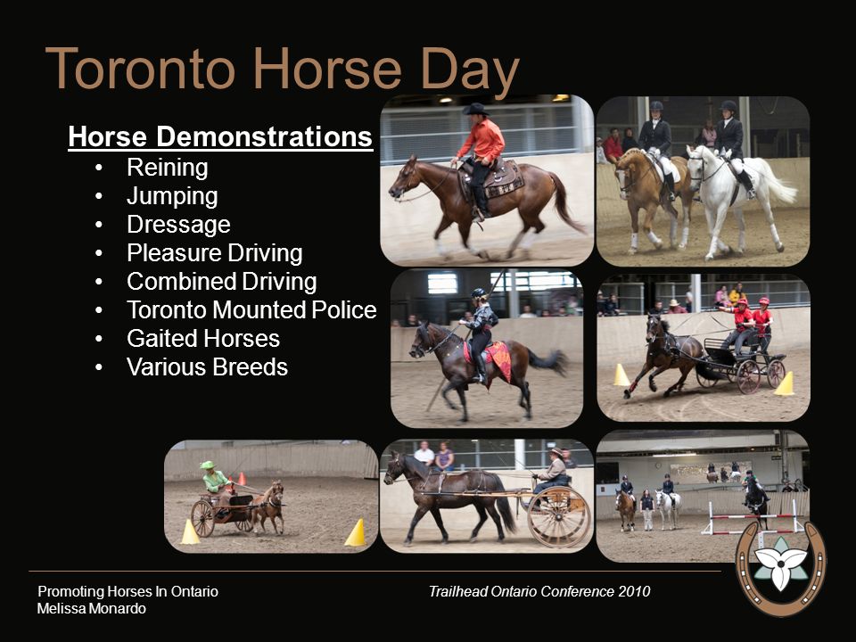 Horse Demonstrations Reining Jumping Dressage Pleasure Driving Combined Driving Toronto Mounted Police Gaited Horses Various Breeds Toronto Horse Day Promoting Horses In Ontario Trailhead Ontario Conference 2010 Melissa Monardo
