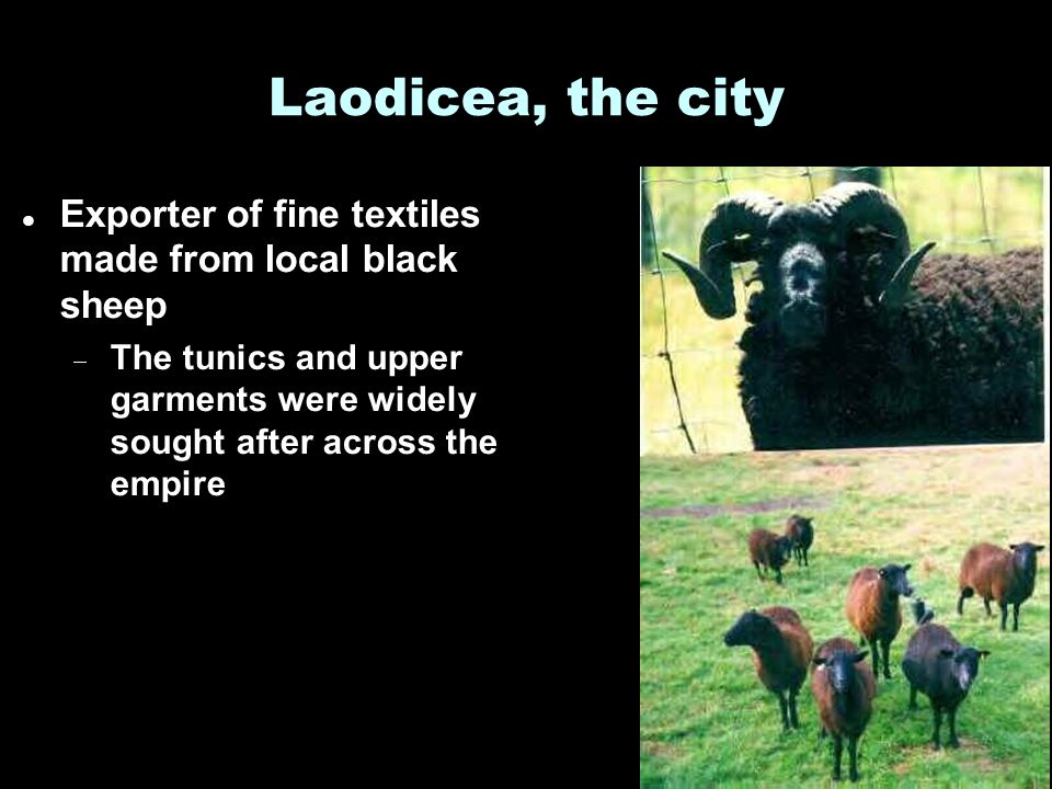 Laodicea, the city Exporter of fine textiles made from local black sheep  The tunics and upper garments were widely sought after across the empire