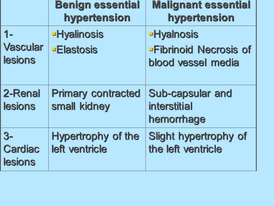 Malignant essential hypertension Benign essential hypertension  Hyalnosis  Fibrinoid Necrosis of blood vessel media  Hyalinosis  Elastosis 1- Vascular lesions Sub-capsular and interstitial hemorrhage Primary contracted small kidney 2-Renal lesions Slight hypertrophy of the left ventricle Hypertrophy of the left ventricle 3- Cardiac lesions