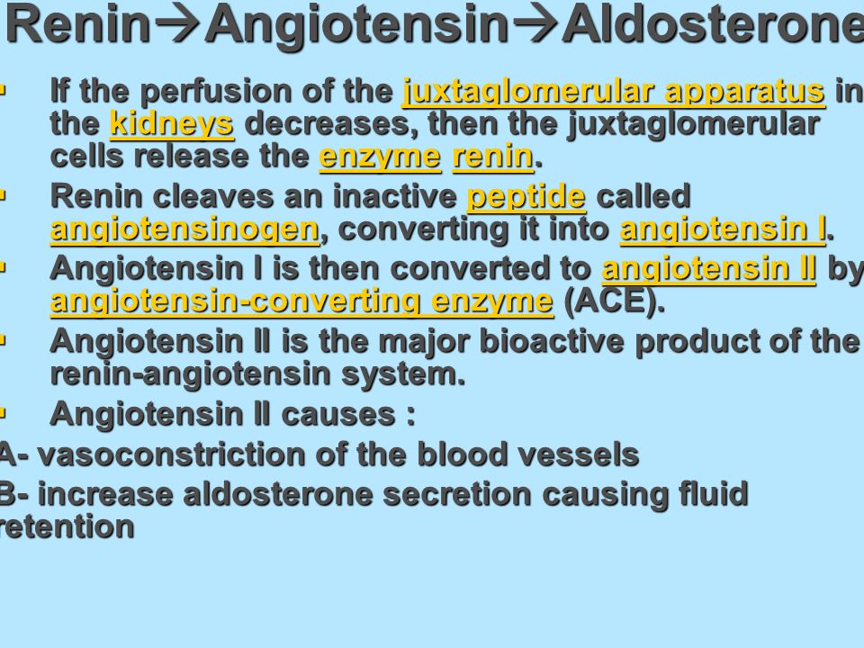 Renin  Angiotensin  Aldosterone  If the perfusion of the juxtaglomerular apparatus in the kidneys decreases, then the juxtaglomerular cells release the enzyme renin.