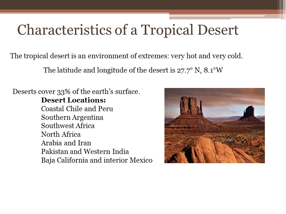 what are the characteristics of a desert biome
