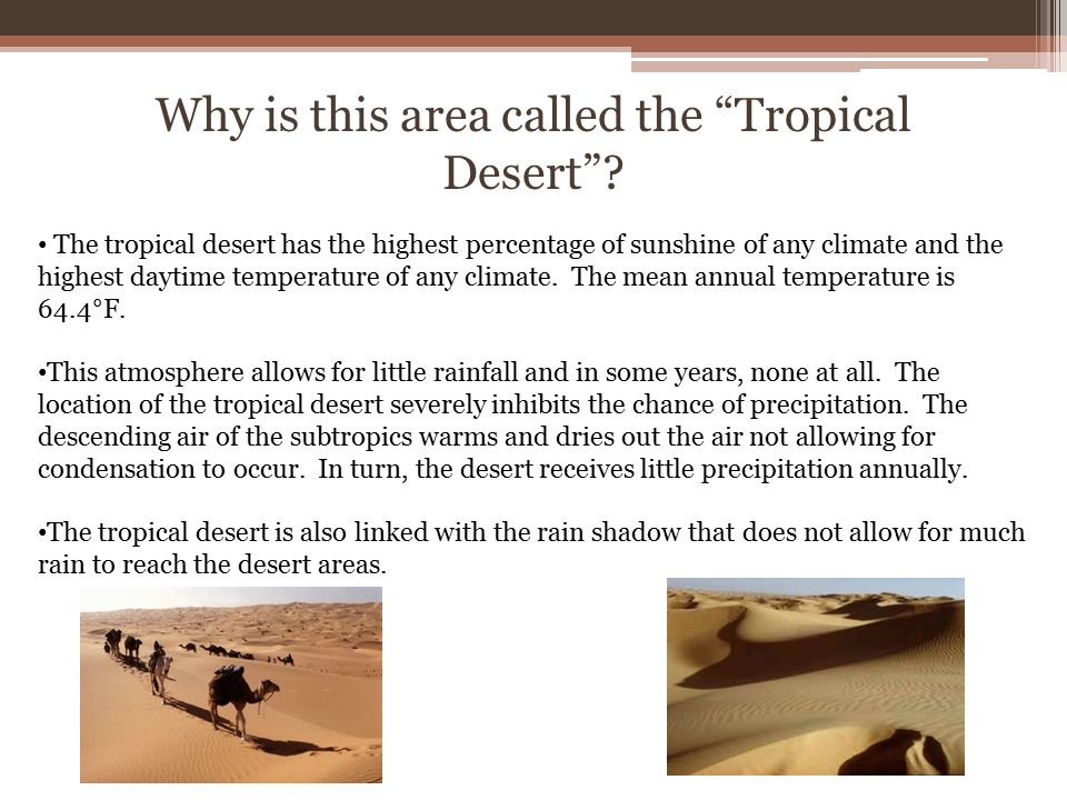 The Tropical Desert Biome. Characteristics of a Tropical Desert The tropical  desert is an environment of extremes: very hot and very cold. The latitude.  - ppt download
