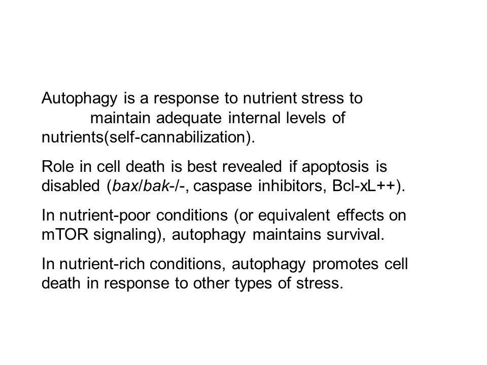 Autophagy is a response to nutrient stress to maintain adequate internal levels of nutrients(self-cannabilization).