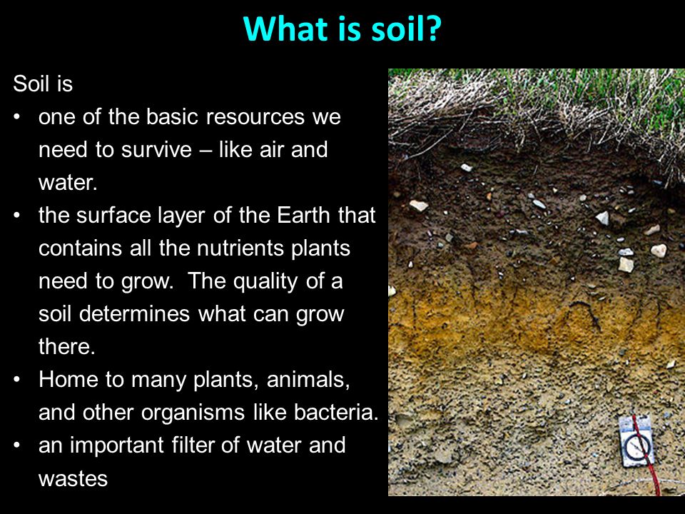 SOILS & SOIL TYPES. What is soil? Soil is one of the basic resources we  need to survive – like air and water. the surface layer of the Earth that  contains. -