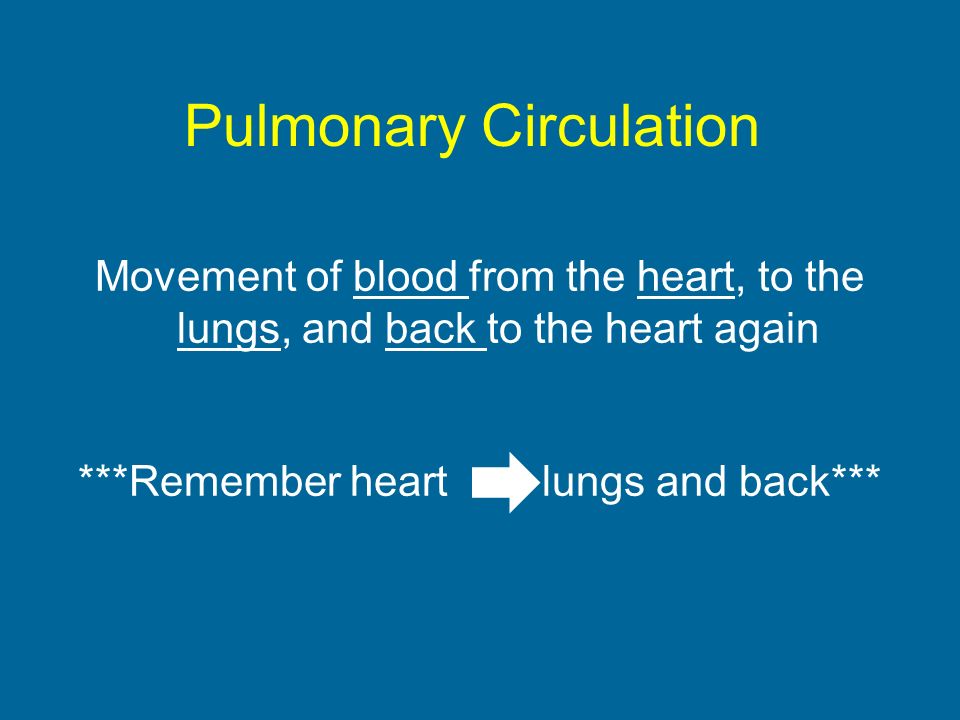 Pulmonary Circulation Movement of blood from the heart, to the lungs, and back to the heart again ***Remember heart lungs and back***