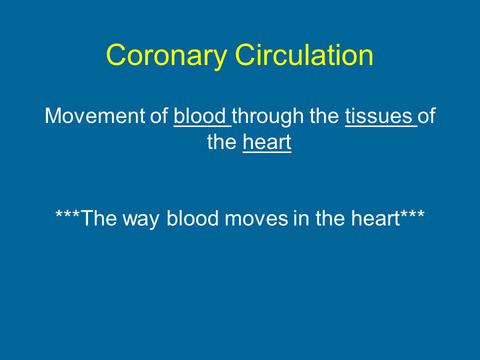 Coronary Circulation Movement of blood through the tissues of the heart ***The way blood moves in the heart***
