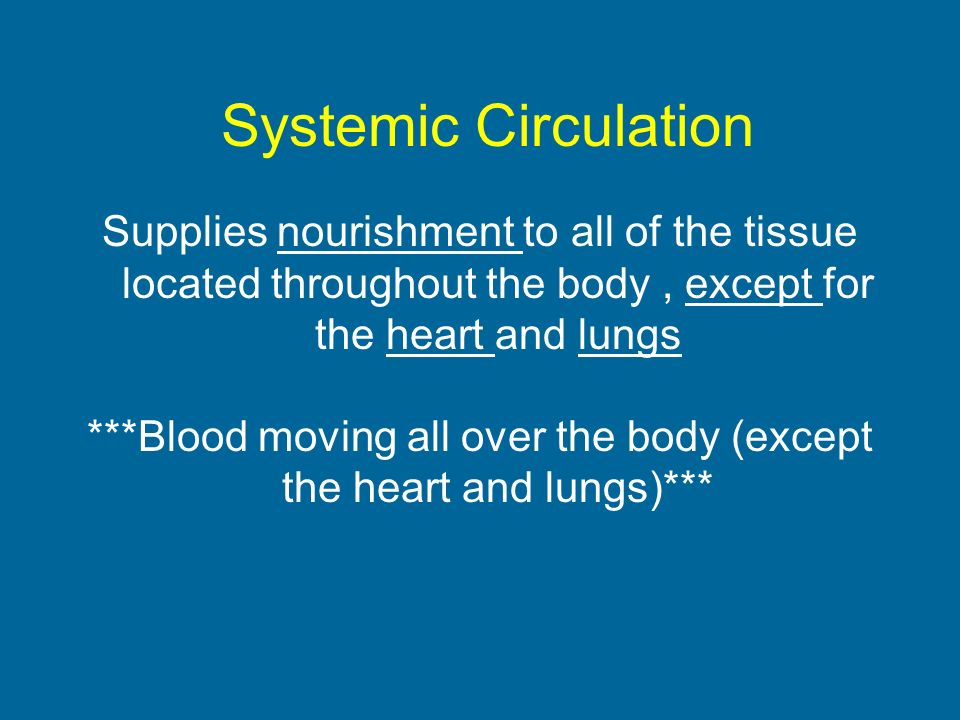 Systemic Circulation Supplies nourishment to all of the tissue located throughout the body, except for the heart and lungs ***Blood moving all over the body (except the heart and lungs)***