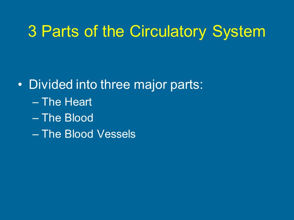 3 Parts of the Circulatory System Divided into three major parts: –The Heart –The Blood –The Blood Vessels