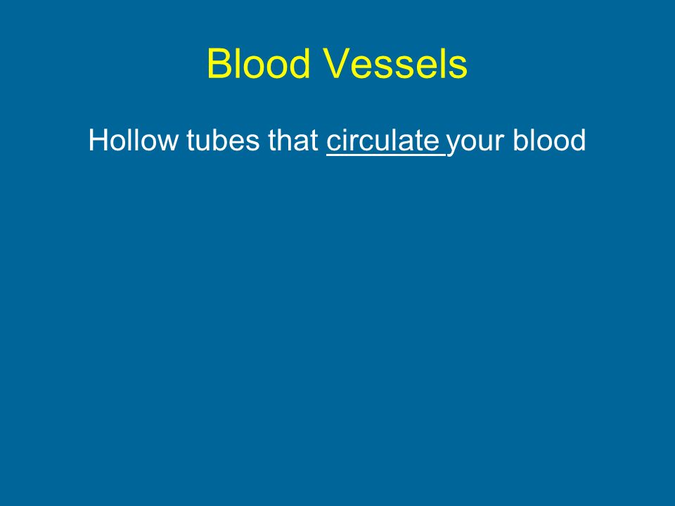 Blood Vessels Hollow tubes that circulate your blood