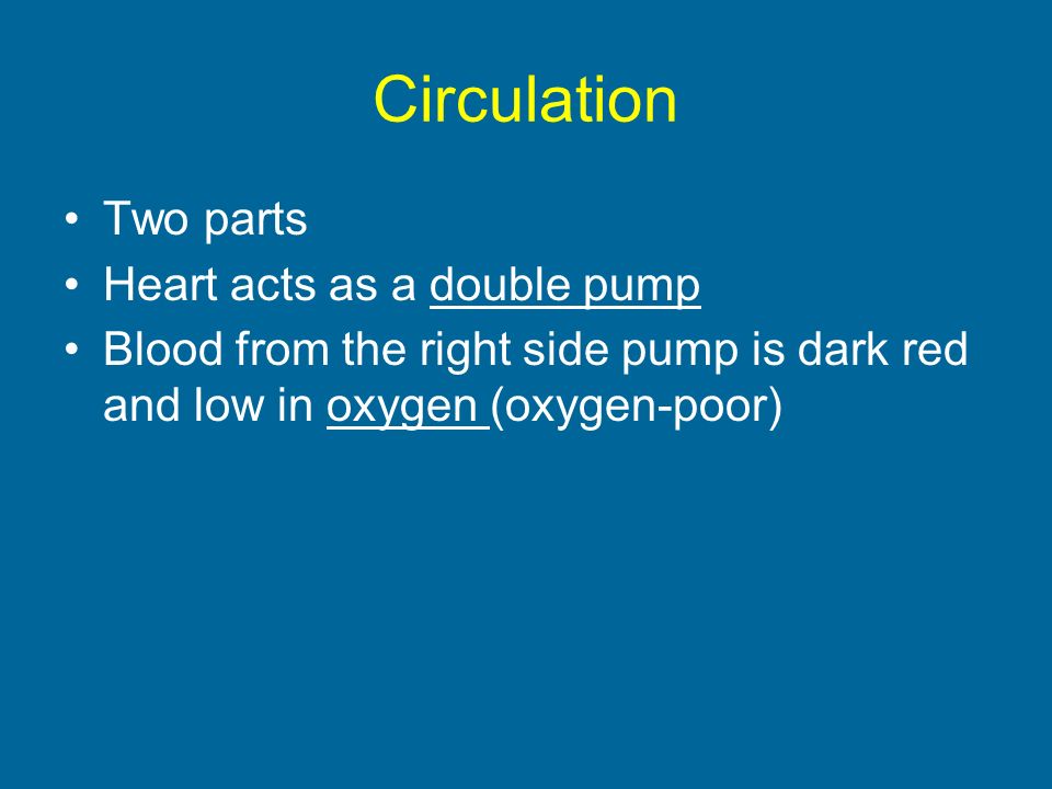 Circulation Two parts Heart acts as a double pump Blood from the right side pump is dark red and low in oxygen (oxygen-poor)
