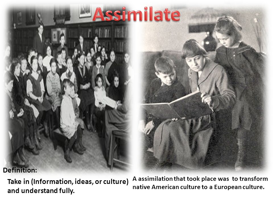 assimilation definition history
