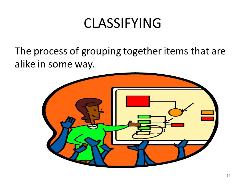 CLASSIFYING The process of grouping together items that are alike in some way. 12