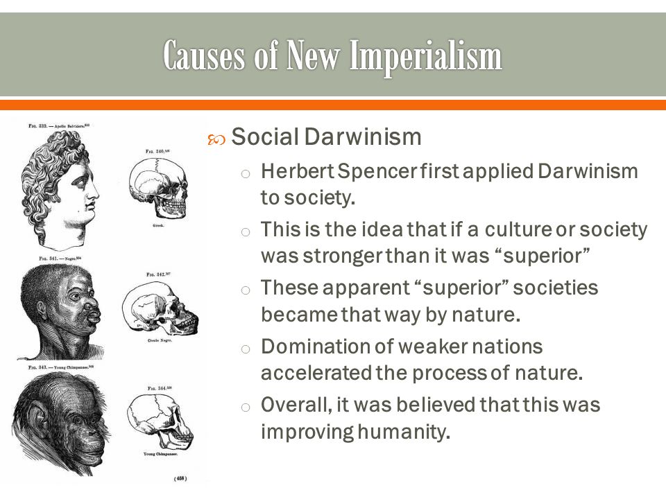  Social Darwinism o Herbert Spencer first applied Darwinism to society.