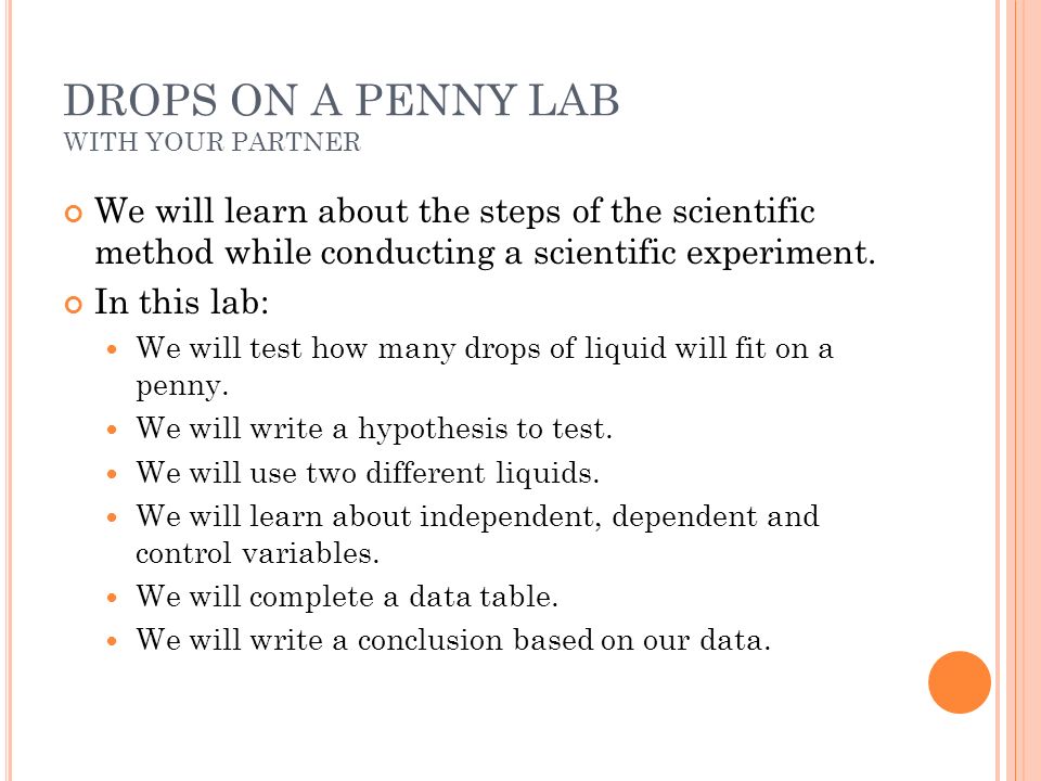 penny lab experiment conclusion