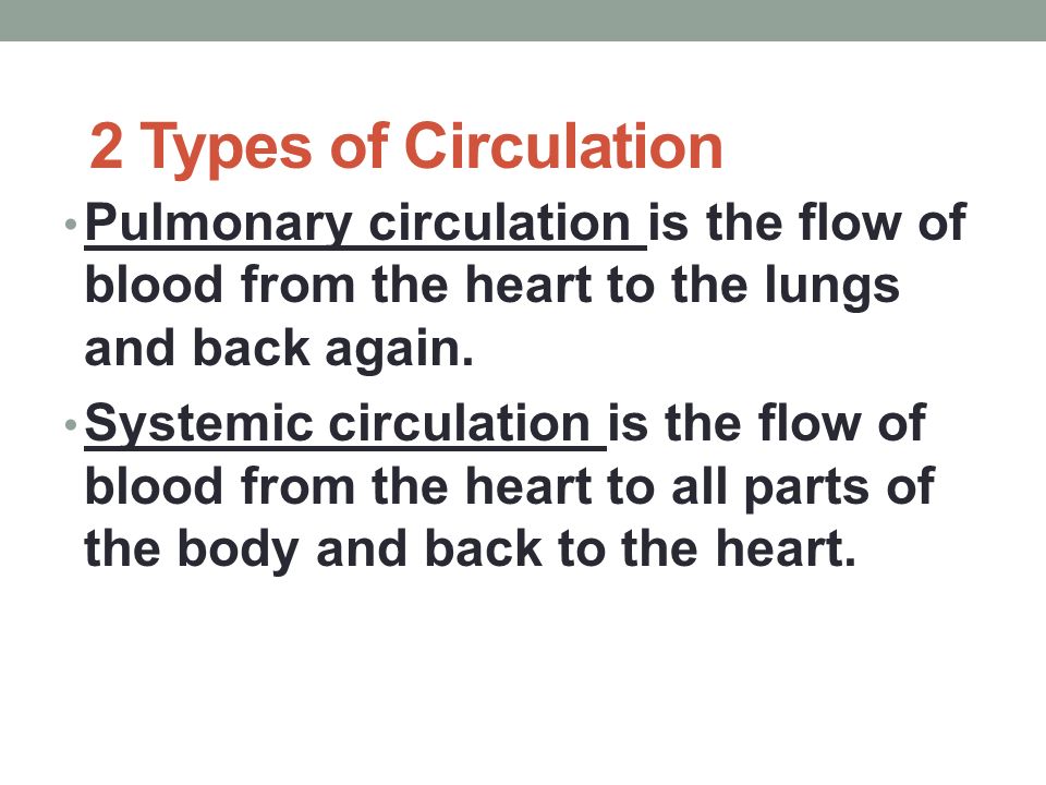 2 Types of Circulation Pulmonary circulation is the flow of blood from the heart to the lungs and back again.
