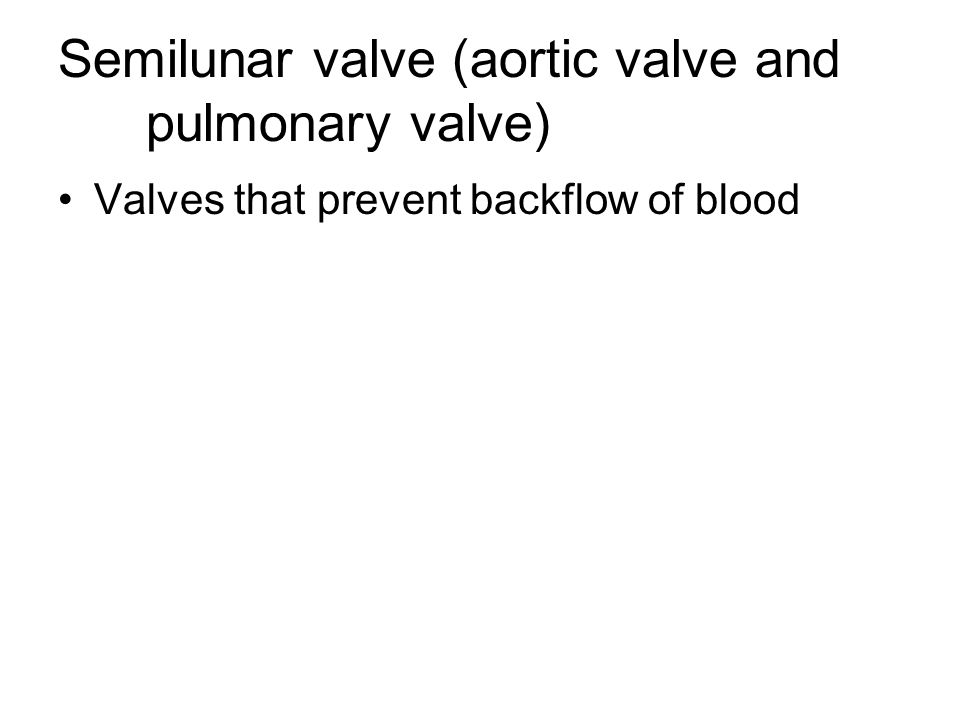 Semilunar valve (aortic valve and pulmonary valve) Valves that prevent backflow of blood