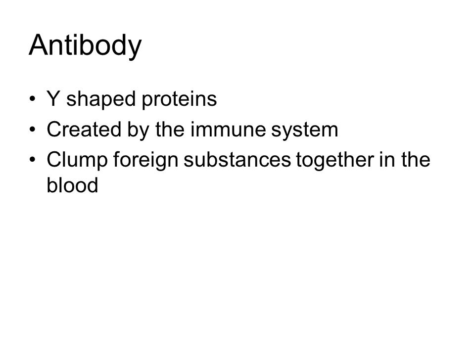 Antibody Y shaped proteins Created by the immune system Clump foreign substances together in the blood