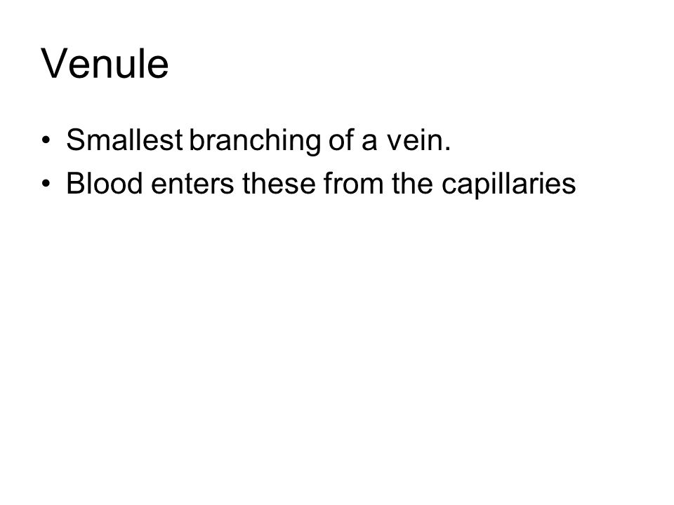 Venule Smallest branching of a vein. Blood enters these from the capillaries