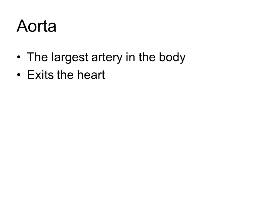 Aorta The largest artery in the body Exits the heart