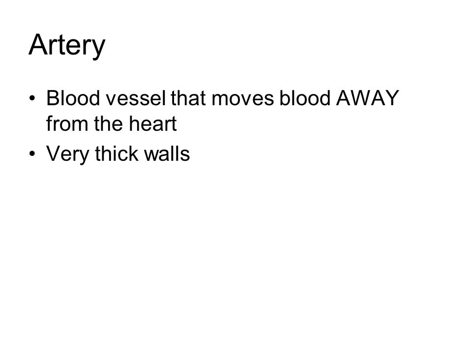 Artery Blood vessel that moves blood AWAY from the heart Very thick walls