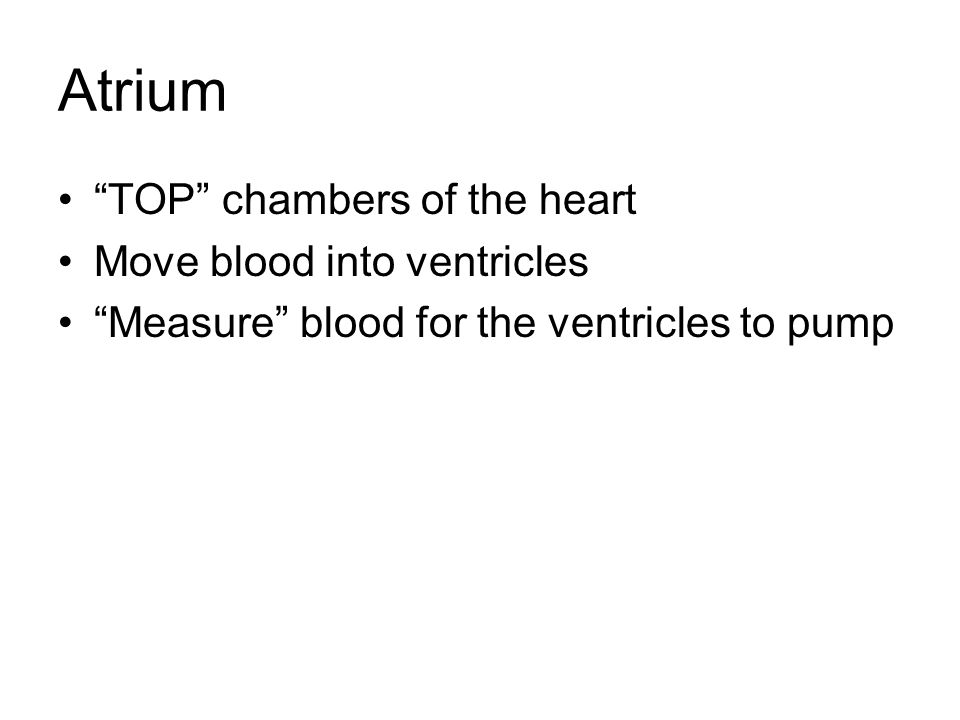 Atrium TOP chambers of the heart Move blood into ventricles Measure blood for the ventricles to pump
