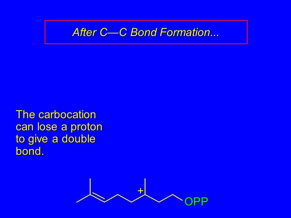 After C—C Bond Formation... + OPP The carbocation can lose a proton to give a double bond.