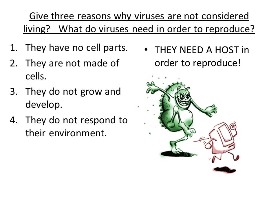 Can viruses respond to their environment