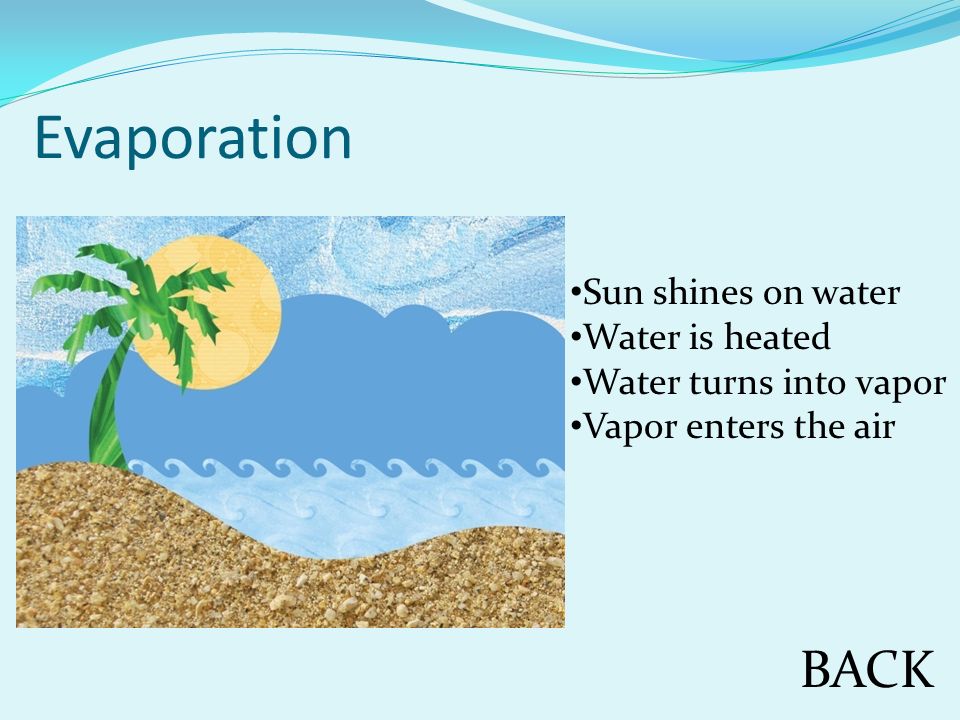 BACK Sun shines on water Water is heated Water turns into vapor Vapor enters the air