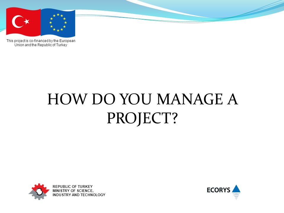 This project is co-financed by the European Union and the Republic of Turkey REPUBLIC OF TURKEY MINISTRY OF SCIENCE, INDUSTRY AND TECHNOLOGY HOW DO YOU MANAGE A PROJECT