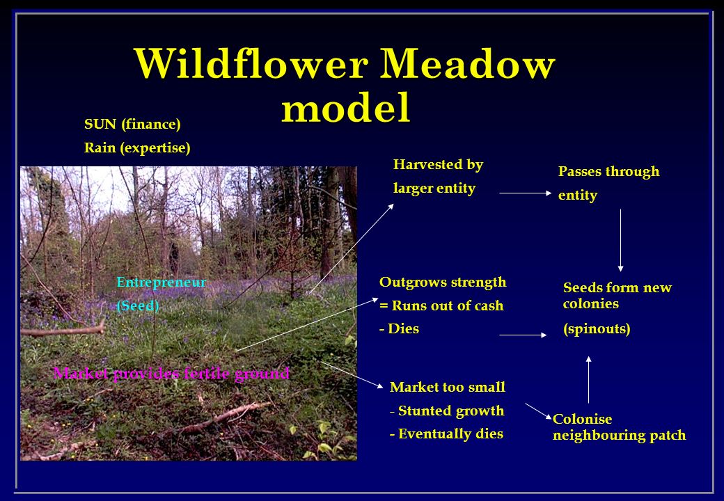 Wildflower Meadow model SUN (finance) Rain (expertise) Market provides fertile ground Entrepreneur (Seed) Market too small - Stunted growth - Eventually dies Seeds form new colonies (spinouts) Colonise neighbouring patch Outgrows strength = Runs out of cash - Dies Harvested by larger entity Passes through entity