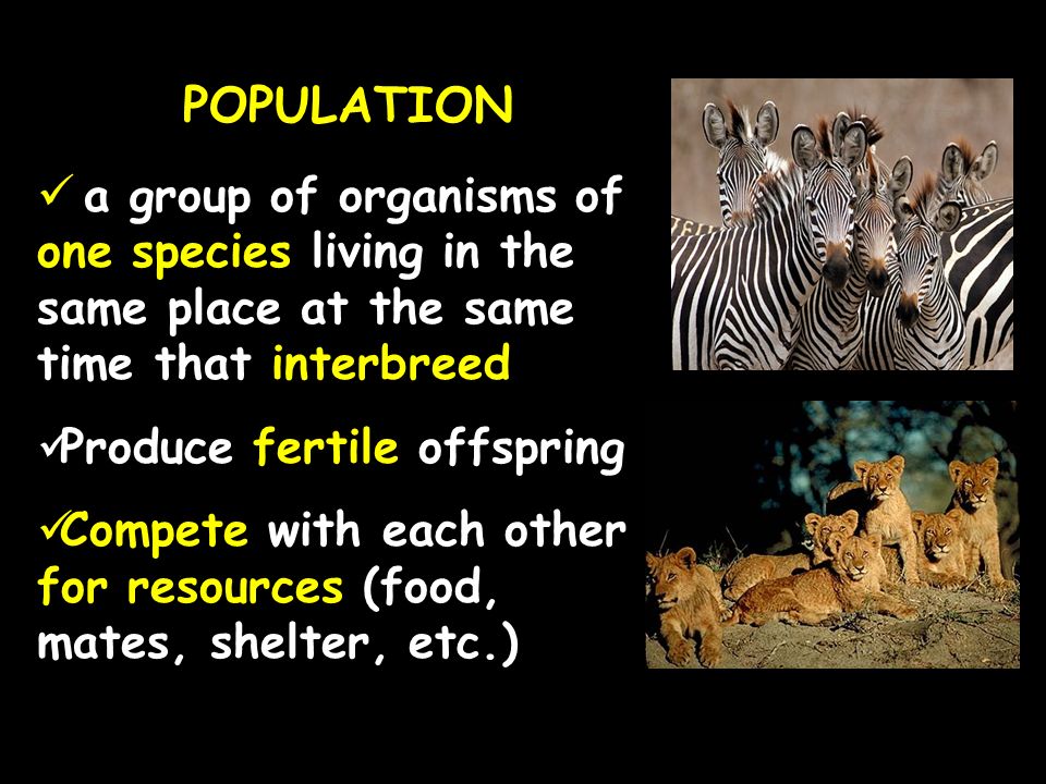 POPULATION a group of organisms of one species living in the same place at the same time that interbreed Produce fertile offspring Compete with each other for resources (food, mates, shelter, etc.)